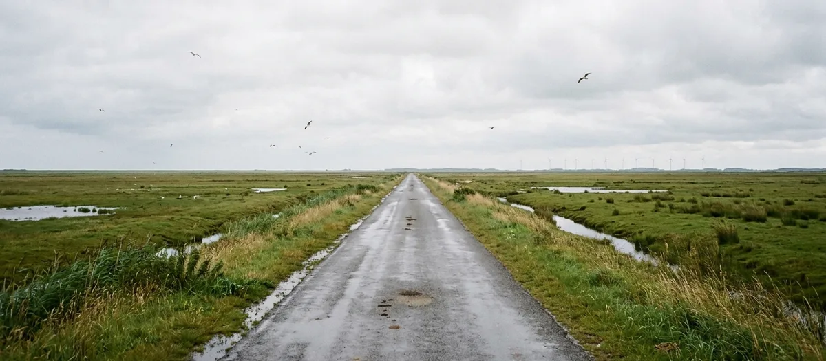 Schmale Straße durch flaches Küstengrünland mit Entwässerungsgraben, am Horizont Windräder