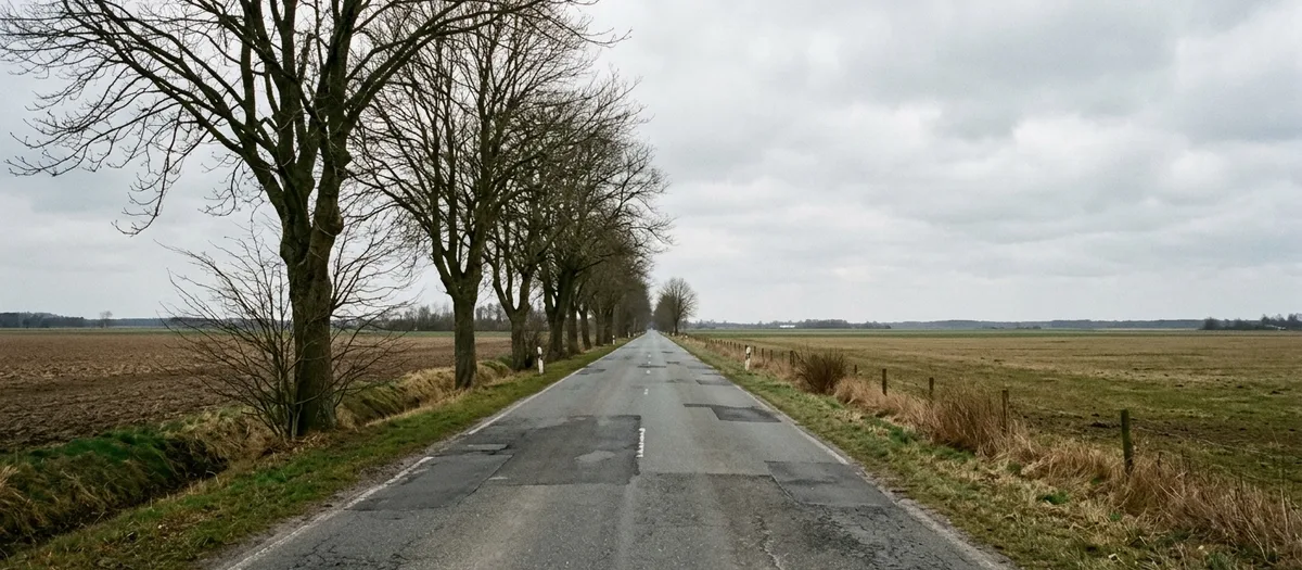 Gerade Landstraße durch norddeutsches Ackerland mit einer alten Baumallee auf der linken Seite